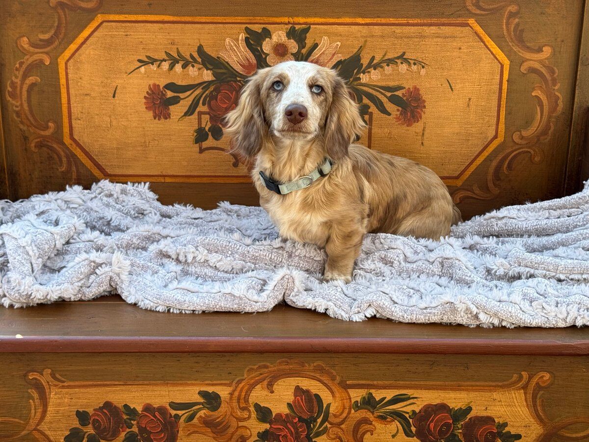 Bentley