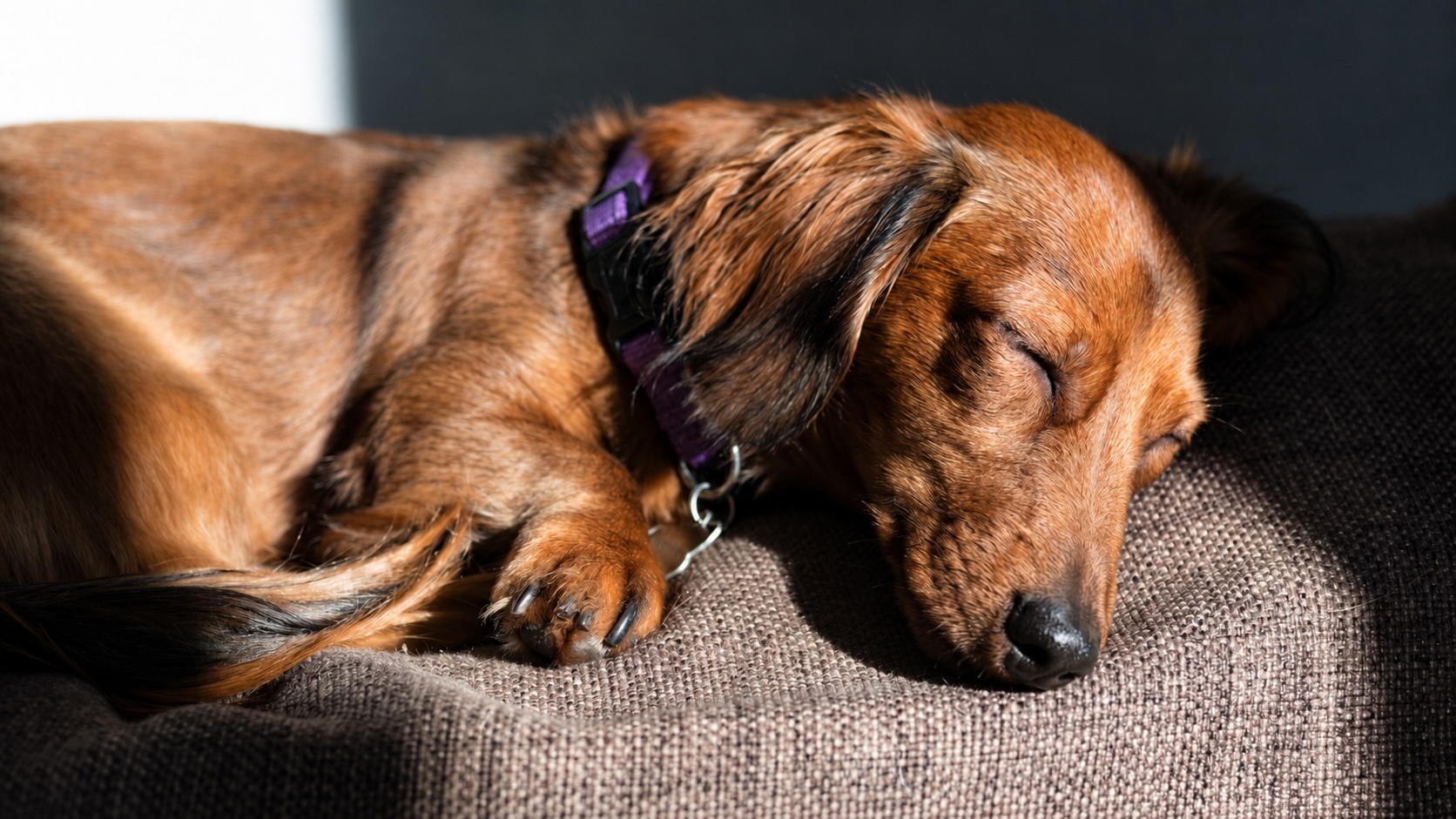 Emma-Jean sleeping