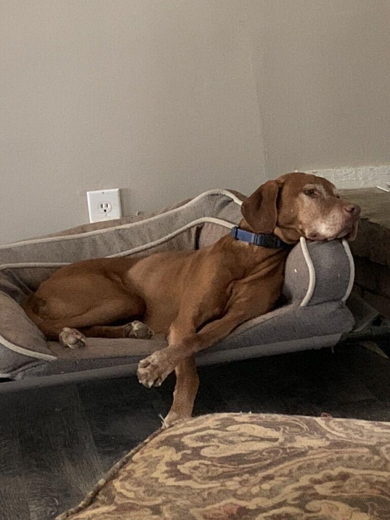 Zeke